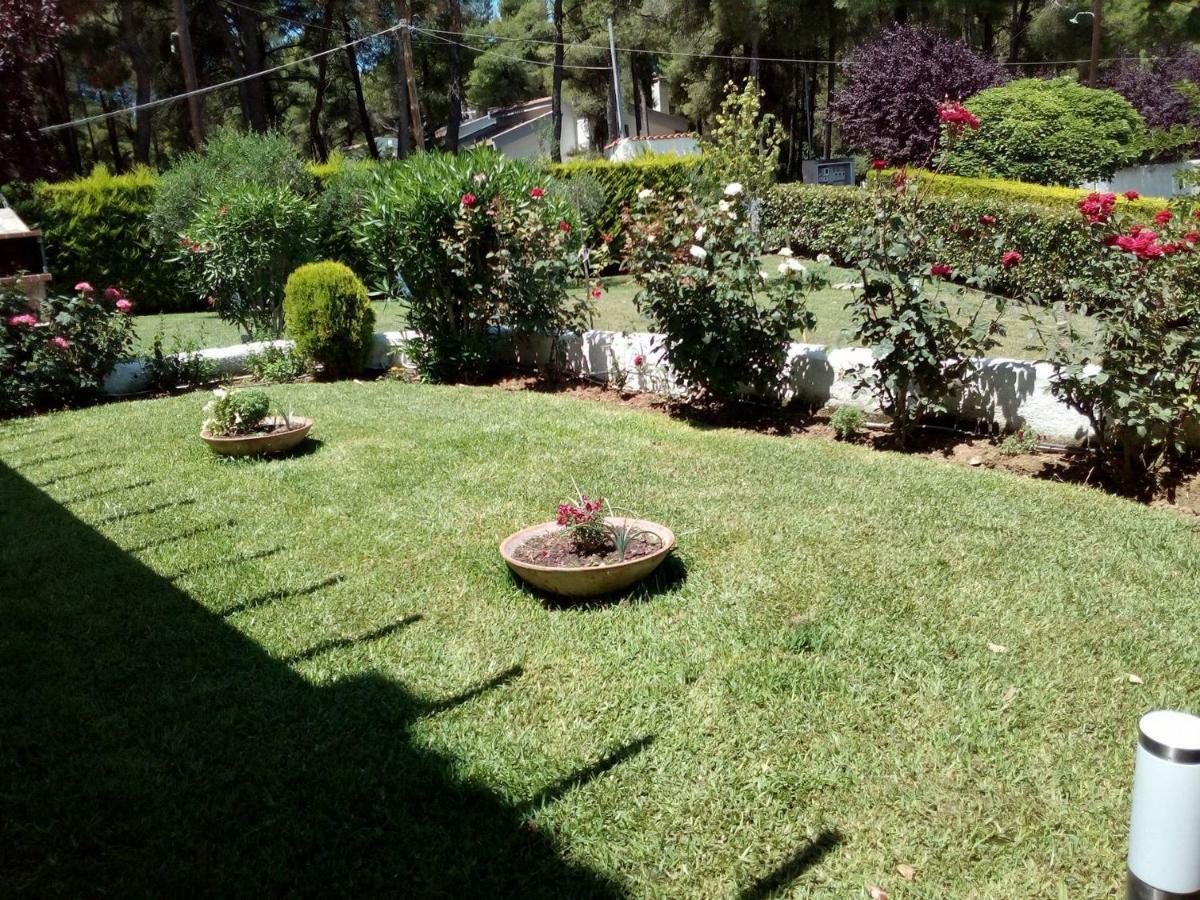 Sani Residence Villa Esterno foto